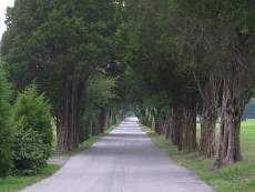 Maryland 0250.jpg